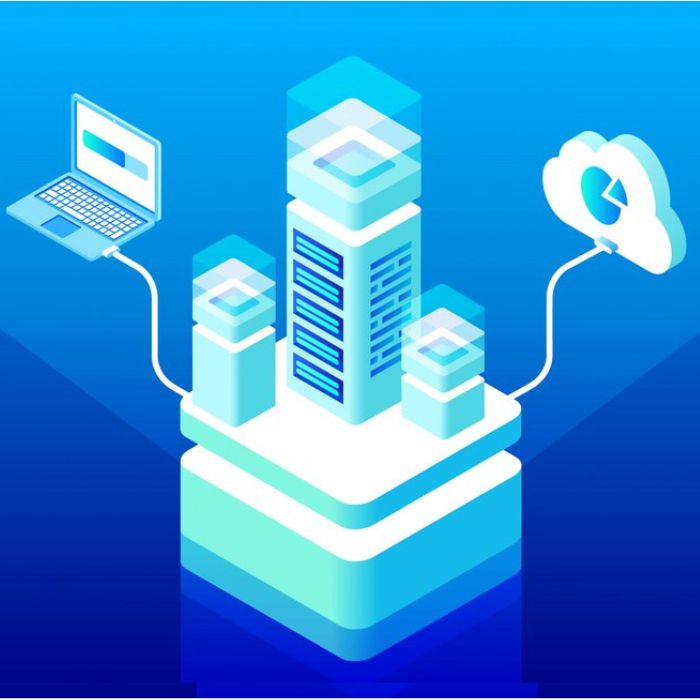 Digital Services